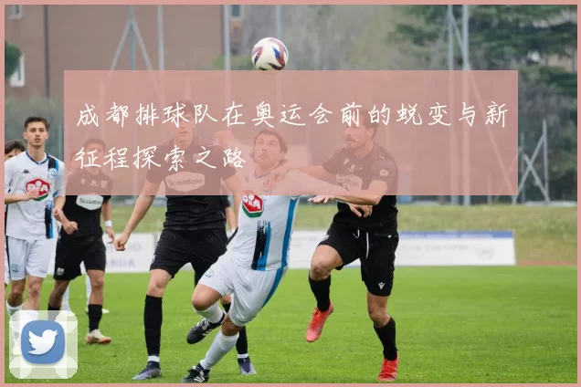 成都排球队在奥运会前的蜕变与新征程探索之路