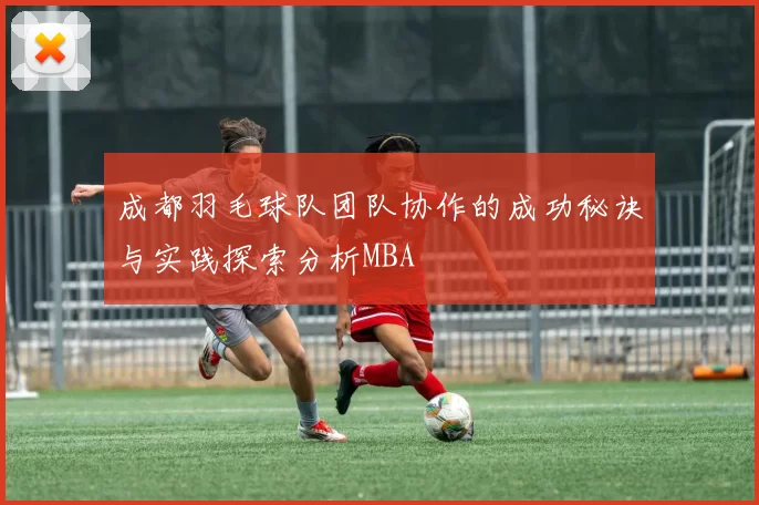 成都羽毛球队团队协作的成功秘诀与实践探索分析MBA