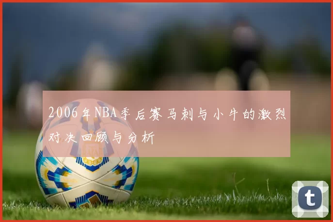 2006年NBA季后赛马刺与小牛的激烈对决回顾与分析