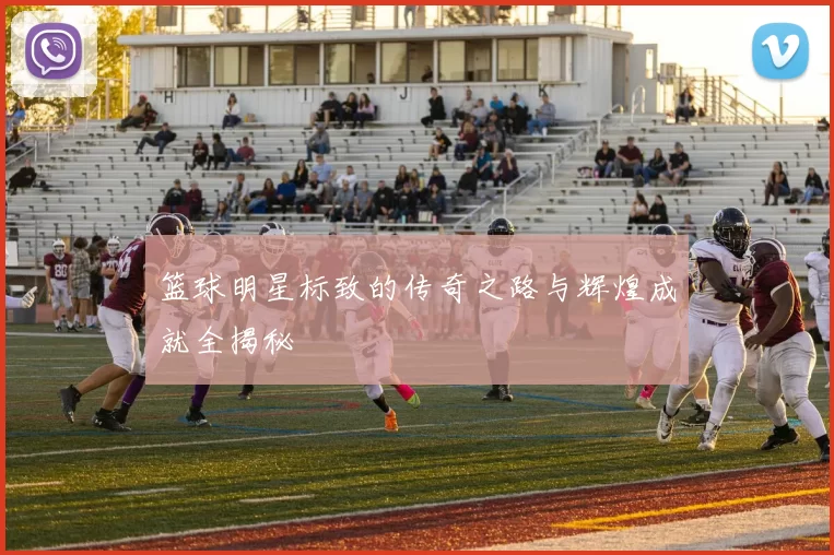 篮球明星标致的传奇之路与辉煌成就全揭秘